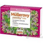DR. MÜLLER Müllerovy pastilky mix 3 druhy po 12 kusech – Hledejceny.cz