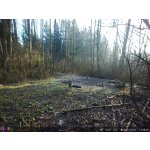 OXE Panther 4G – Zboží Živě