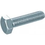 Šroub M10x120 6hr.hl.zinek pev – Zboží Mobilmania