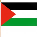 Palestina vlajka 45x30cm – Hledejceny.cz