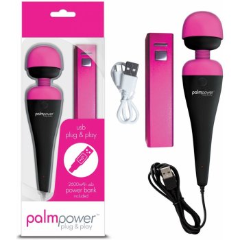 PalmPower Plug & Play Wand Massager