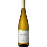 Cantina Valle Isarco Pinot Grigio DOC 13% 0,75 l (holá láhev) – Hledejceny.cz