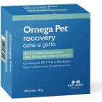 NBF Lanes Omega pet pes a kočka podpora srdeční a kožní funkce 120 kps – Hledejceny.cz