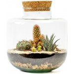 Gardners Skleněná dóza Arnica s korkovým špuntem, 21x19 cm - osázené suchomilné – Zboží Dáma