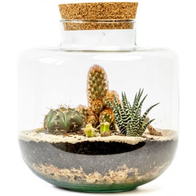 Gardners Skleněná dóza Arnica s korkovým špuntem, 21x19 cm - osázené suchomilné – Zboží Dáma