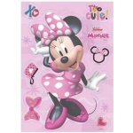 Jedlý papír 20cm Minnie 14,8x21 cm - Dekora – Hledejceny.cz