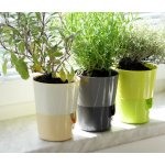 Nohel Garden květináč samozavlažovací ROSMARIN na bylinky 11 cm – Sleviste.cz