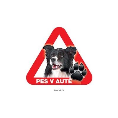 Grel nálepka na plech pozor pes v autě border kolie – Zboží Mobilmania