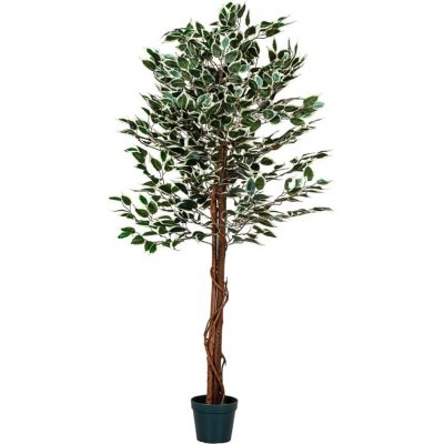 PLANTASIA 27406 Umělý strom rostlina - fíkus - 160 cm – Zboží Mobilmania
