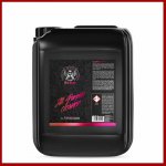 RRCustoms Bad Boys All Purpose Cleaner 5 l – Zboží Mobilmania