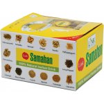 Samahan Ajurvédský instantní bylinný čaj 25 x 4 g – Sleviste.cz
