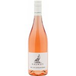 Weingut Salwey Pinot Noir ROSÉ Rulandské modré 3,9 g/l suché rosé 2024 12% 0,75 l (holá láhev) – Hledejceny.cz