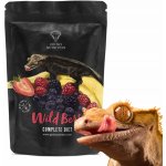 Gecko Nutrition Kaše pro pagekony Lesní ovoce/banán 50 g – Zboží Mobilmania