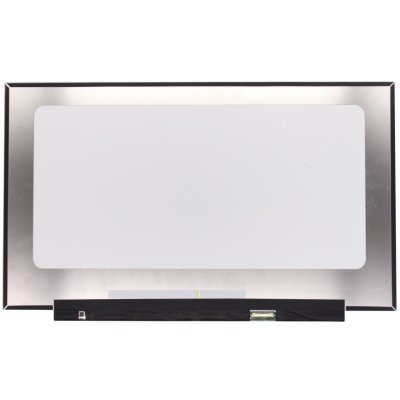 LCD 16.1" 1920x1080 WUXGA Full HD LED 40pin Slim IPS 144Hz matný povrch – Zboží Živě