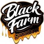Black Farm Genetix Orange Cherry semena neobsahují THC 10 ks – Hledejceny.cz