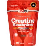 Amix Creatine monohydrate 250 g – Zbozi.Blesk.cz