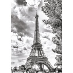 Dino Černá a bílá Eiffelova věž Francie 500 dílků