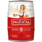 Bakalář Pražačka 10° 5 l (sud) – Hledejceny.cz