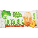 Belaja Bereza Zmrzlina plombier s broskví 90 g – Zboží Mobilmania