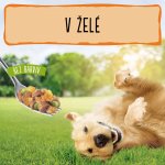 Friskies Adult hovězí kuře jehněčí v želé 4 x 85 g – Sleviste.cz