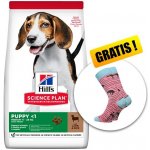 Hill’s Science Plan Puppy Medium Lamb & Rice 14 kg – Zboží Mobilmania