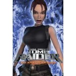 Tomb Raider VI: The Angel of Darkness Steam – Hledejceny.cz