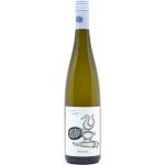 Grüber-Röschitz Riesling 2025 12% 0,75 l (holá láhev) – Hledejceny.cz