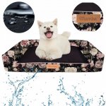 Dogeste pelíšek – Sleviste.cz