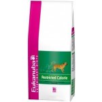 Eukanuba VD Restricted Calories Dry Dog 5 kg – Hledejceny.cz