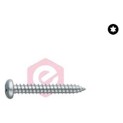 Šr.plech.PH C TORX ZB 6,3x25 – balení 250 ks – Hledejceny.cz
