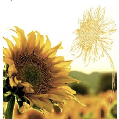 Ubrousek 33x33cm SLUNEČNICE – Hledejceny.cz