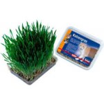 Nobby Tráva 100 g – Zboží Mobilmania