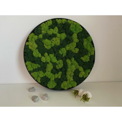Mia Moss decoration - MECHOVÝ OBRAZ Ø 25-60 sobí mech - Ø 50cm – Zboží Dáma
