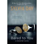 Bared to You Day SylviaPaperback – Hledejceny.cz