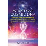 Activate Your Cosmic DNA – Hledejceny.cz