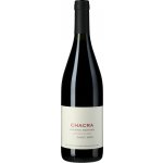 Bodega Chacra Cincuenta y Cinco Pinot Noir 2024 Červené 12,8% 0,75 l (holá láhev) – Hledejceny.cz