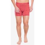 Icebreaker Mens Mer 150 Anatomica Boxers Explore More Plume/Aop – Zboží Dáma