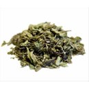 Salvia Paradise GOTU KOLA Pupečník asijský 50 g