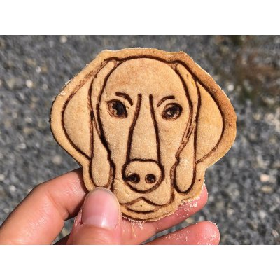 TVOŘÍTKO Rhodéský ridgeback II - vykrajovátko – Hledejceny.cz