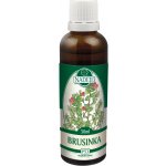 Naděje Brusinka tinktura z pupenů rostlin 50 ml – Hledejceny.cz