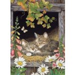 Cobble Hill Sisters 500 dílků – Sleviste.cz