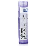 CALCAREA PHOSPHORICA POR 30CH GRA 1X4G – Hledejceny.cz