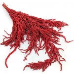 mech-mech.cz Stabilizovaný Laskavec - Amarant - červený – Zboží Dáma