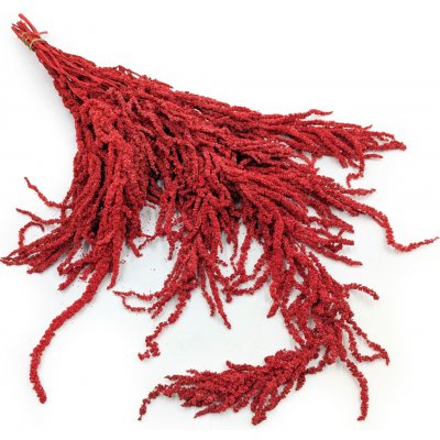 mech-mech.cz Stabilizovaný Laskavec - Amarant - červený – Zboží Dáma