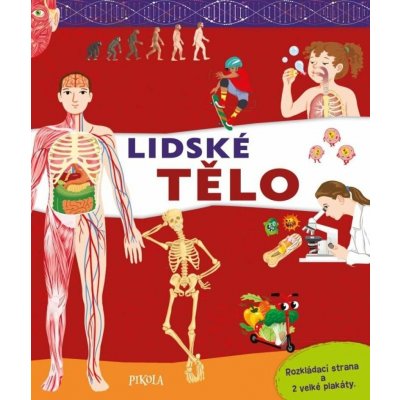 Lidské tělo – Sleviste.cz