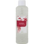 Chemoform Finesse Esence pro sauny koncentrát Černý rybíz 1000 ml – Hledejceny.cz