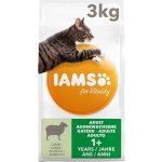Iams for Vitality Adult Lamb 2 x 10 kg – Zboží Mobilmania