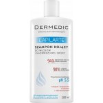 Dermedic Capilarte zklidňující šampon pro citlivou pokožku hlavy 300 ml – Zboží Dáma