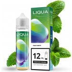 Ritchy Liqua Mix&Go Two Mints 12 ml – Zboží Dáma