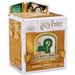 Spin Master Harry Potter Harry Potter mini v rámečku – Hledejceny.cz